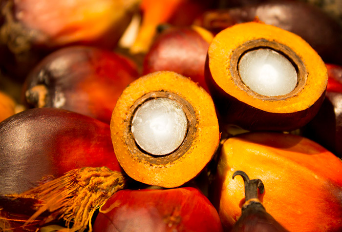 Med Allied Oleochemicals