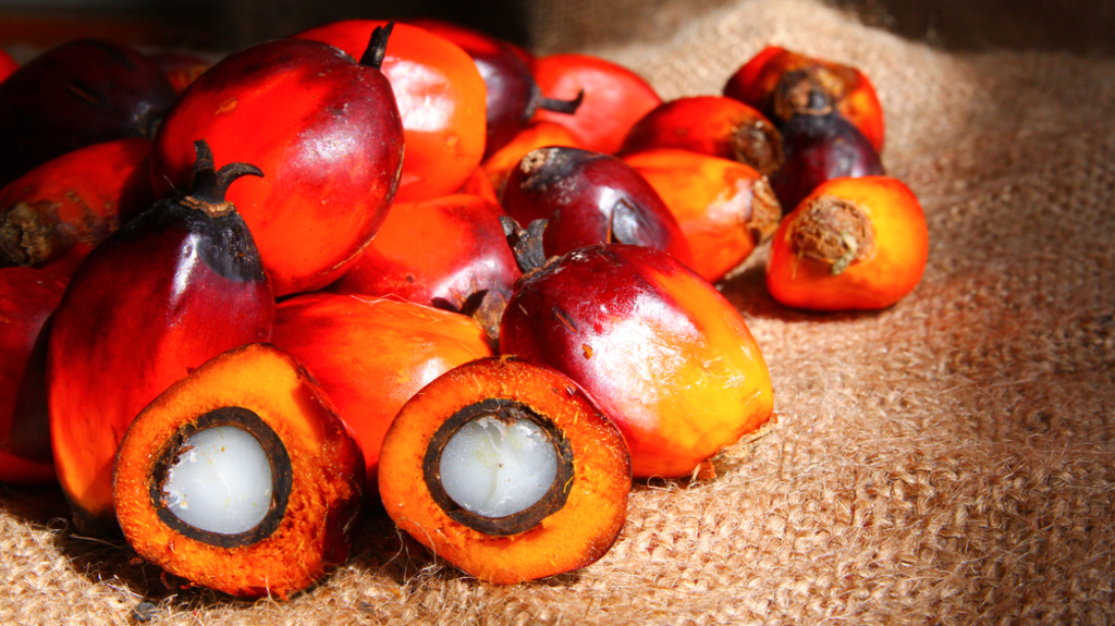 Global Oleochemicals Supply - Med Allied Worldwide Distribution